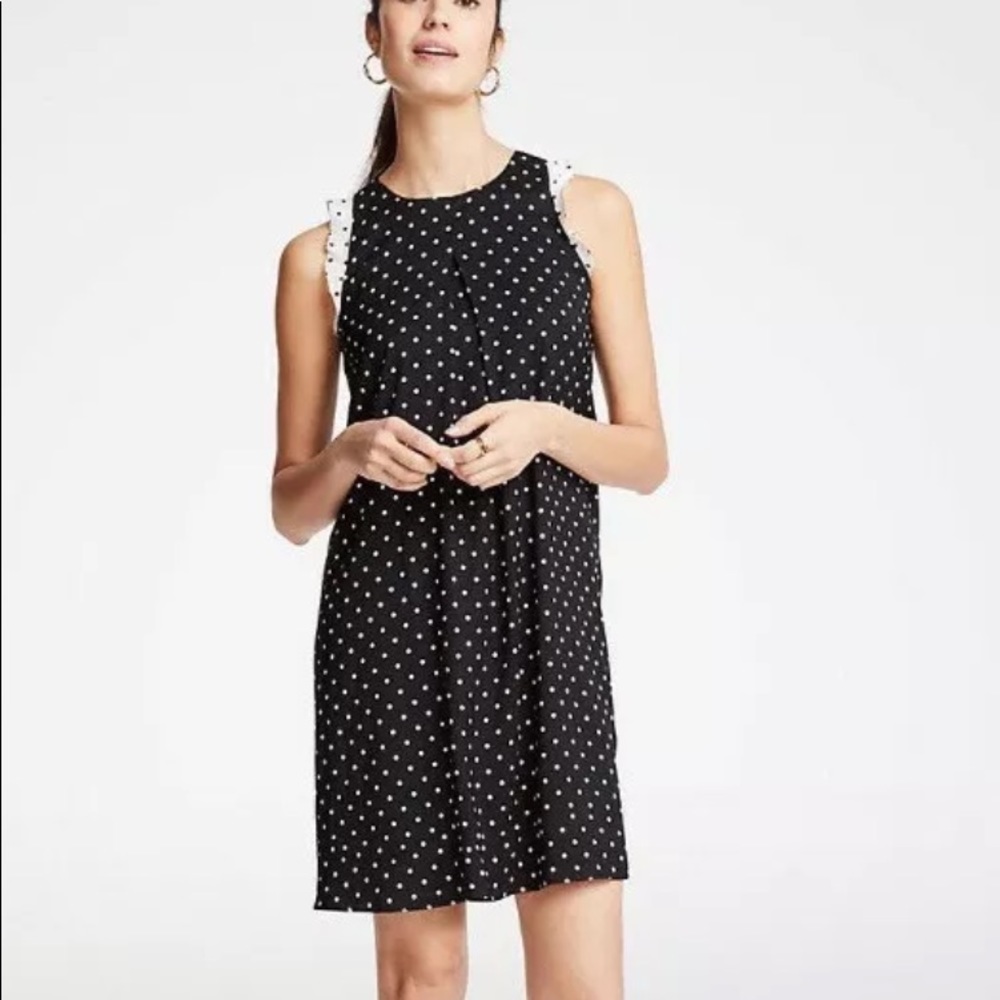 Ann Taylor  Polka Dot Ruffle Shift Dress  XL Tall